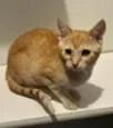Bella thumbnail 2