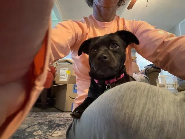 Morticia thumbnail 2