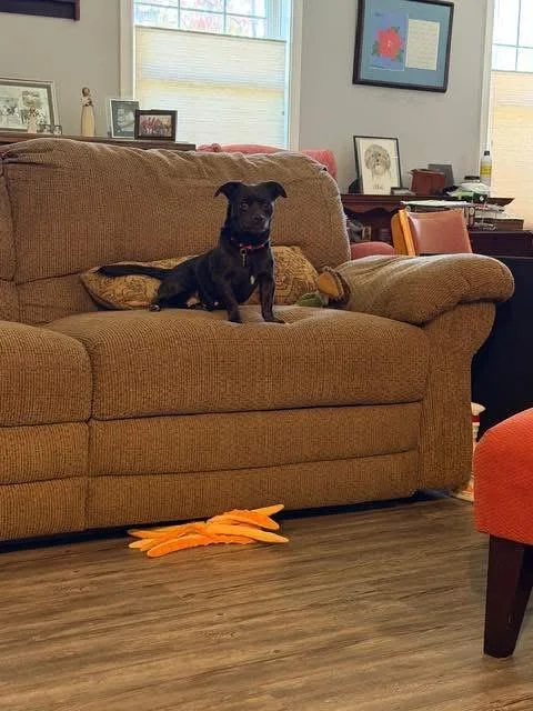 Morticia thumbnail 4