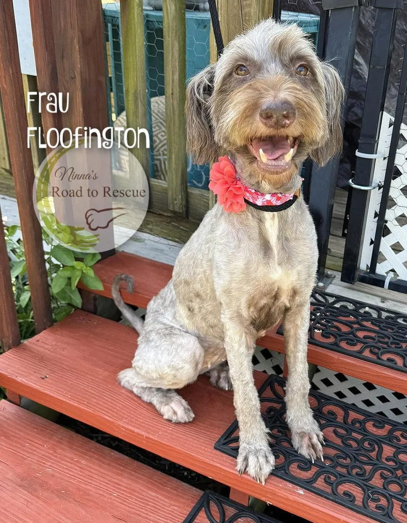 Frau Floofington