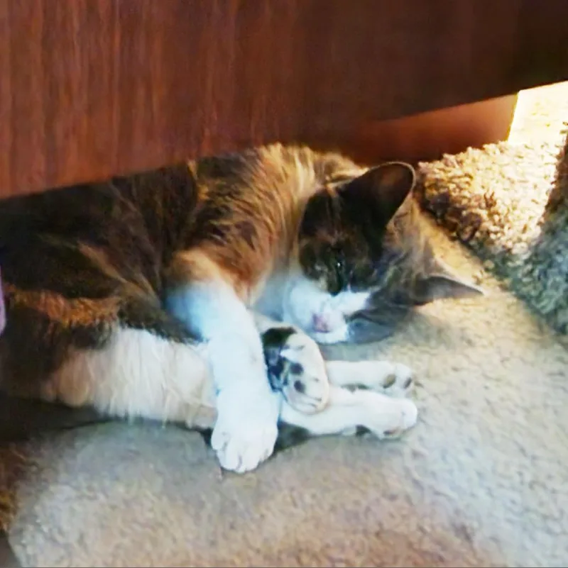 See You Next Time thumbnail 2