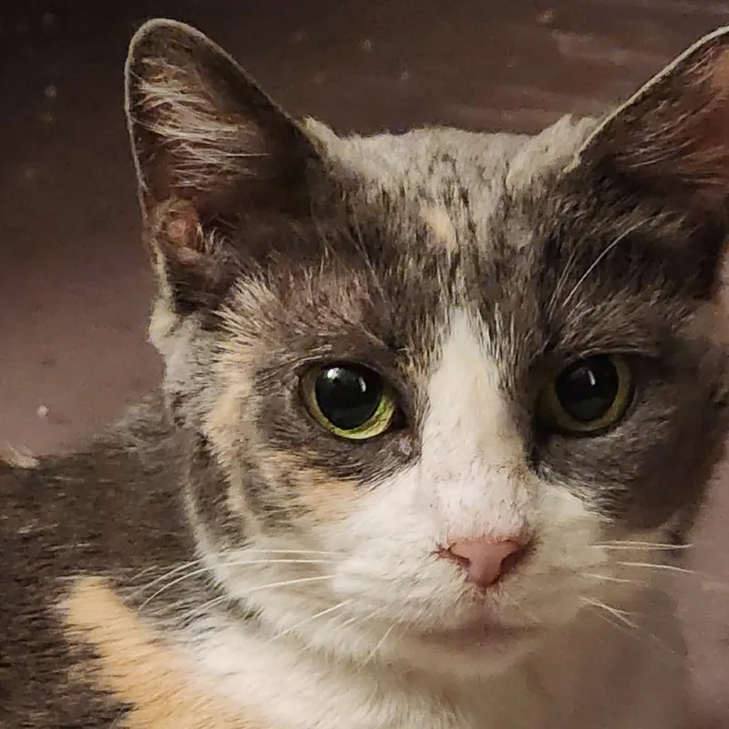 See You Next Time thumbnail 3