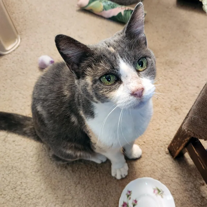 See You Next Time thumbnail 4