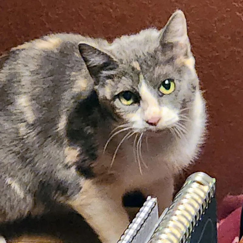 See You Next Time thumbnail 6