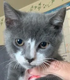 Frances thumbnail 2
