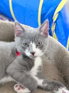 Frances thumbnail 3