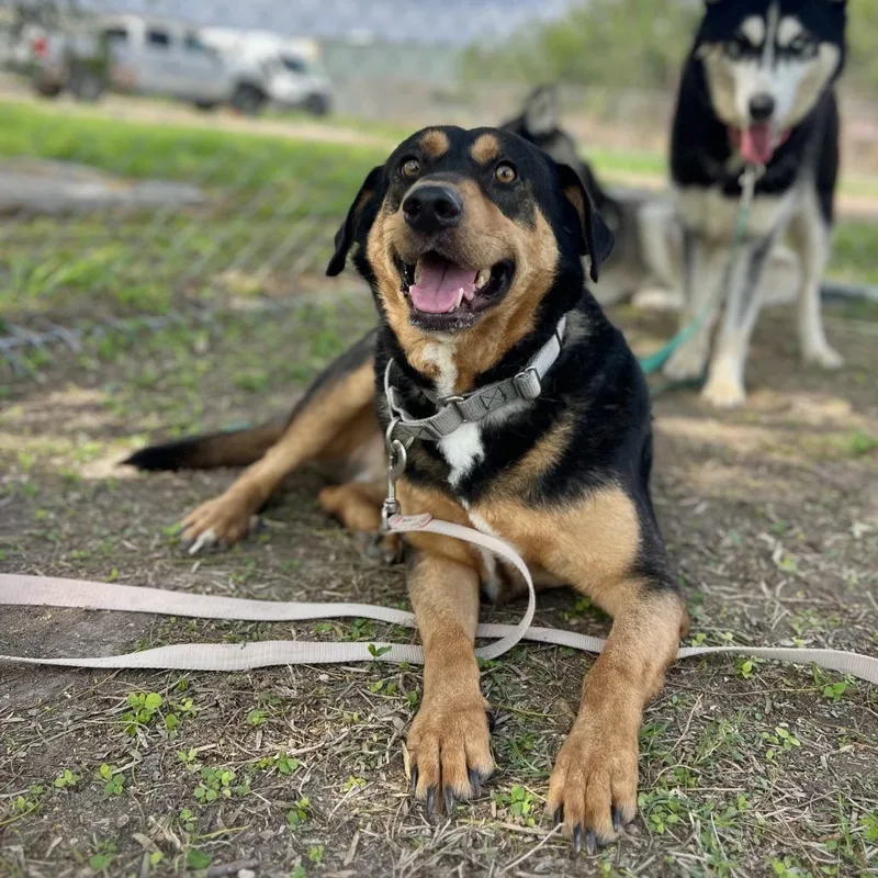 Axel thumbnail 4
