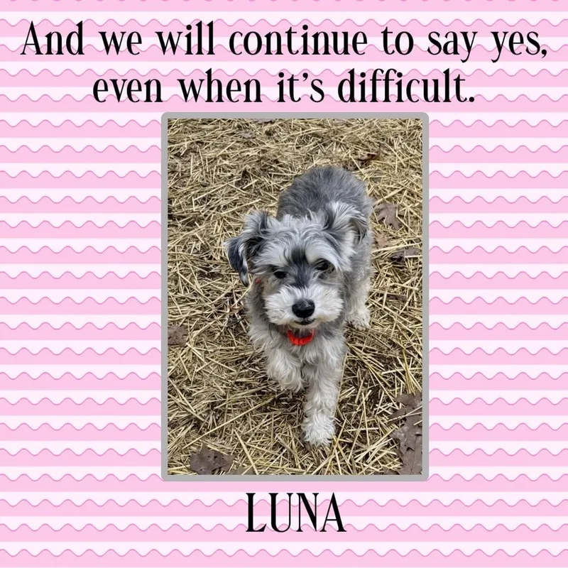 Luna Mae thumbnail 2
