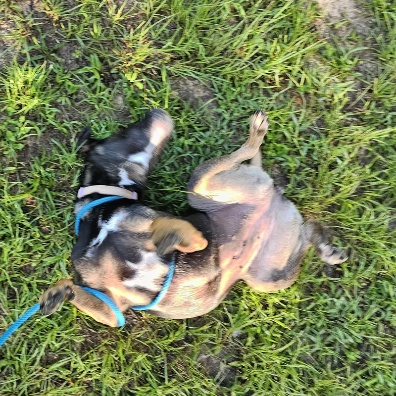 Wednesday thumbnail 2