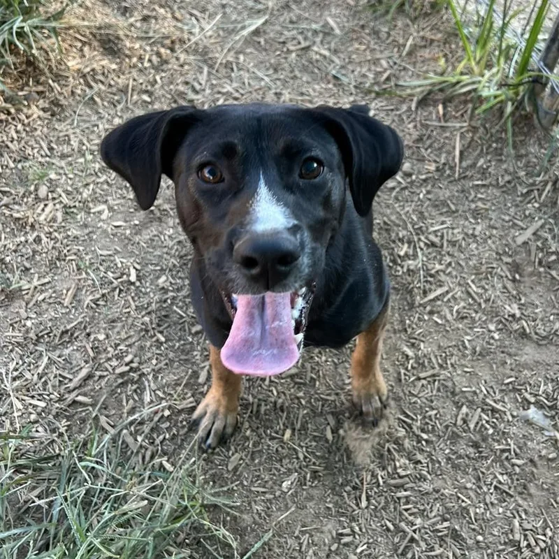 Wednesday thumbnail 4