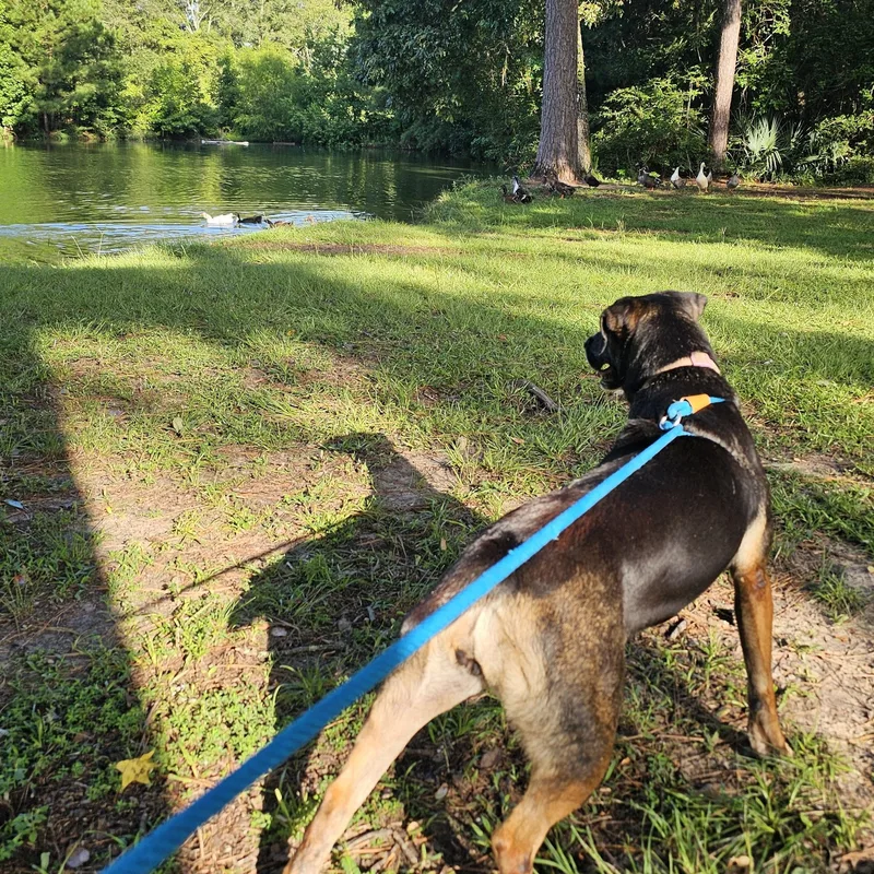 Wednesday thumbnail 5