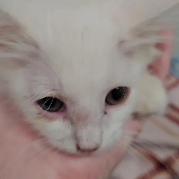 Lily & Remmy thumbnail 2