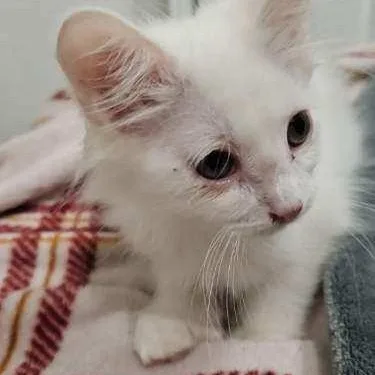 Lily & Remmy thumbnail 3