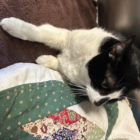 Hailey And Herbie thumbnail 2