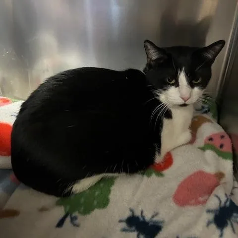 Hailey And Herbie thumbnail 4