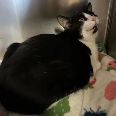 Hailey And Herbie thumbnail 5