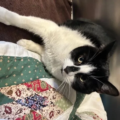 Hailey And Herbie thumbnail 6