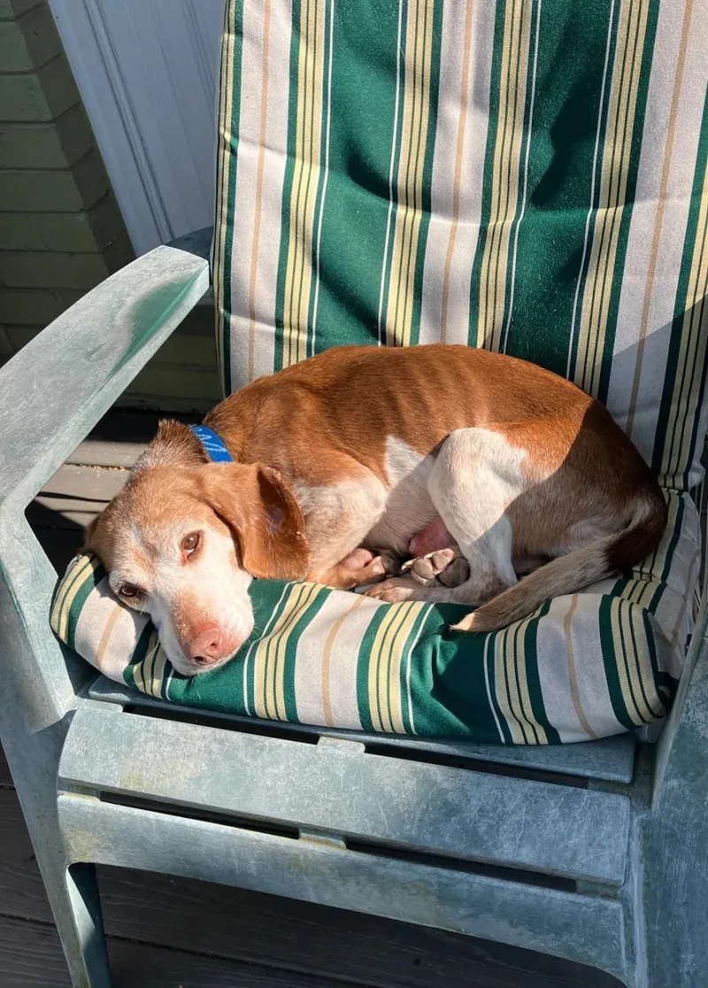 Polly Charles thumbnail 2