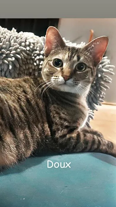 Doux thumbnail 5