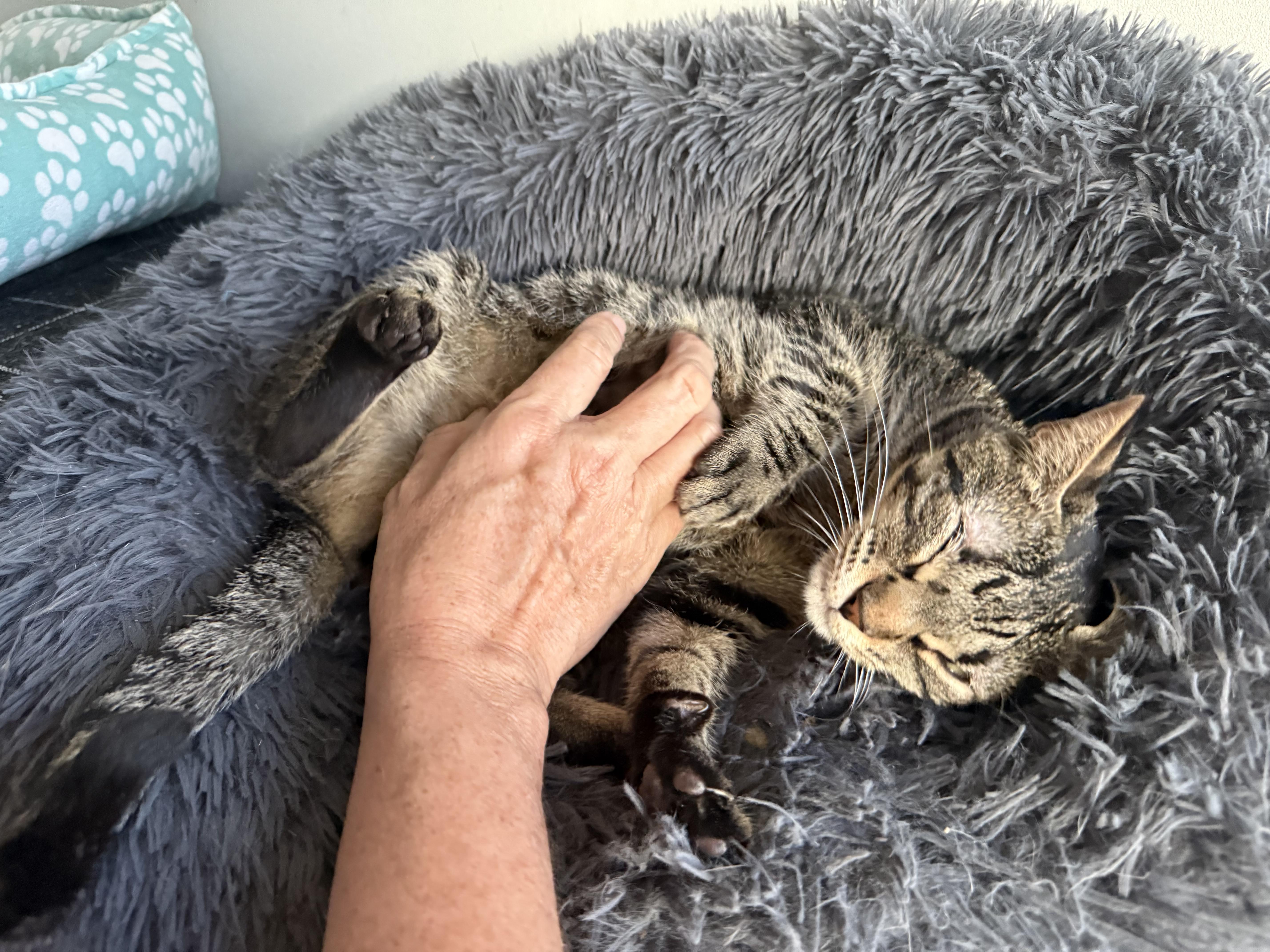 Hendo Happy thumbnail 2