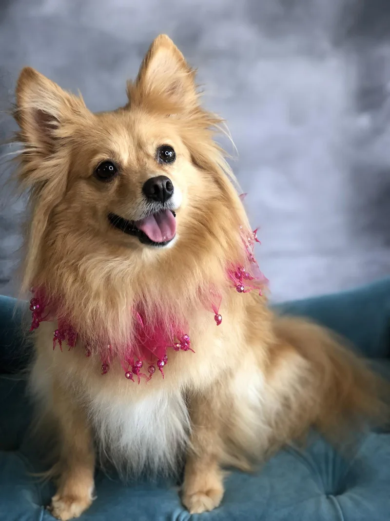 Maggie
