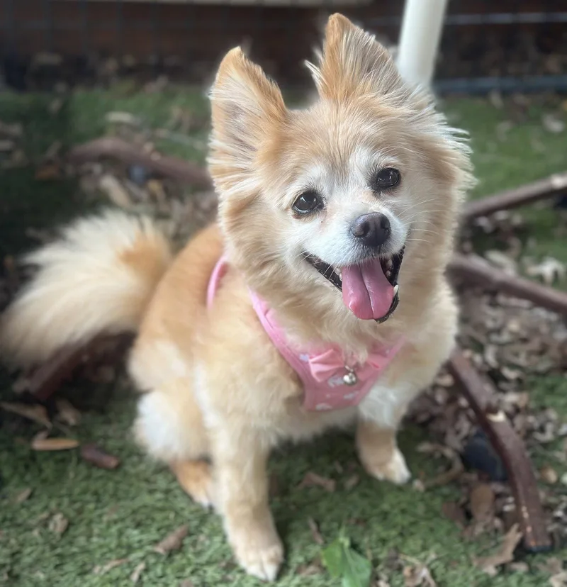 Maggie thumbnail 2