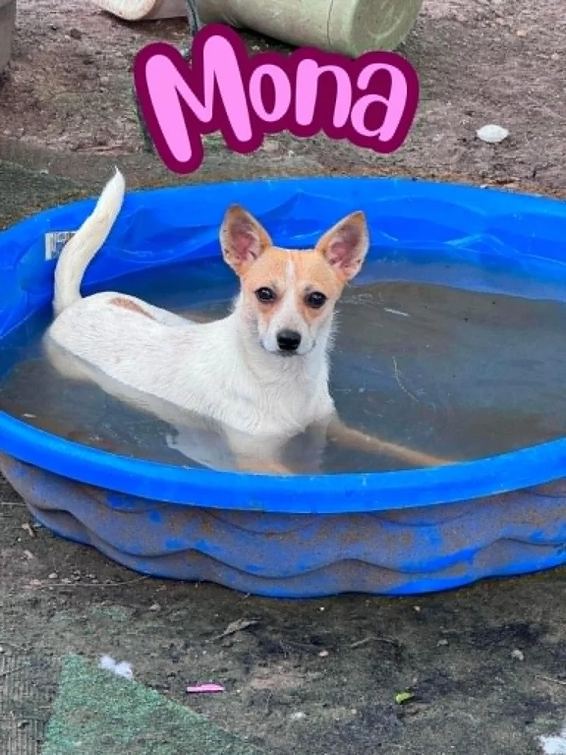 Mona thumbnail 2