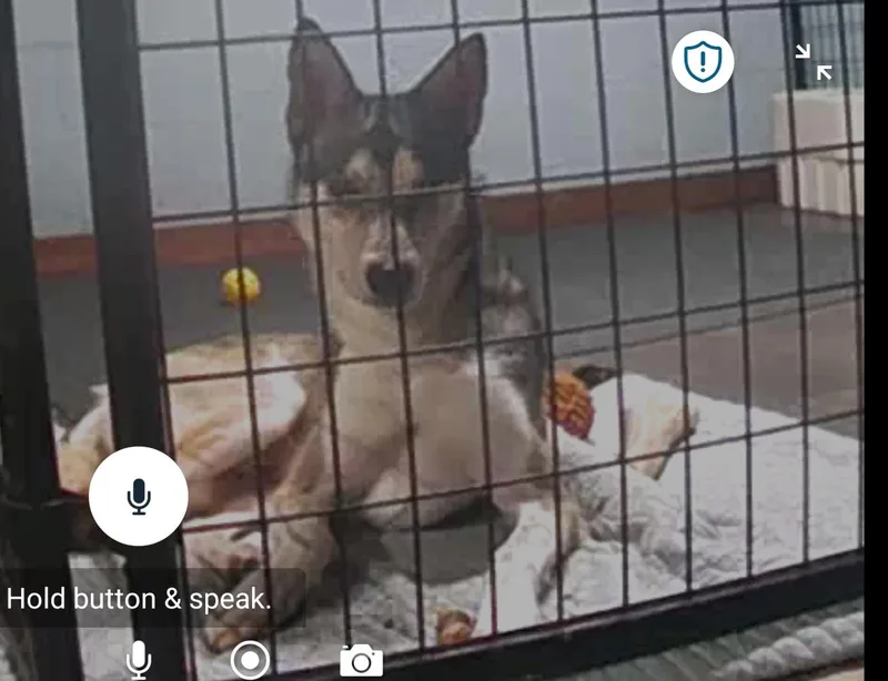 Duo Rufus & Sophie thumbnail 5