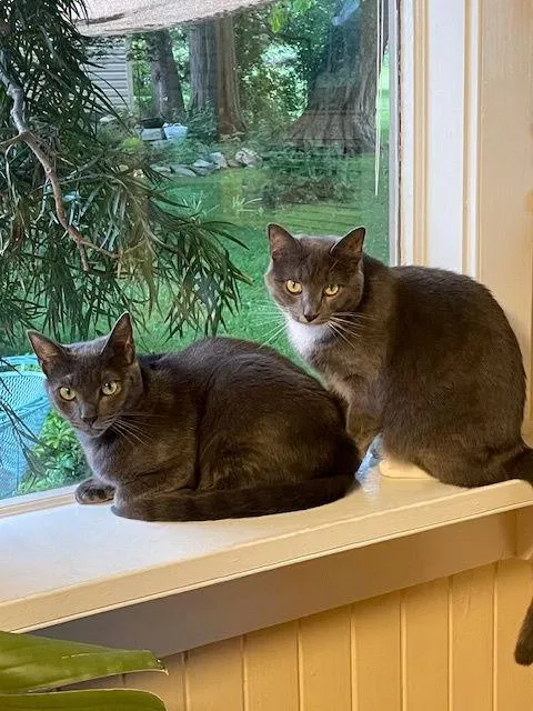 Venus & Mars thumbnail 2