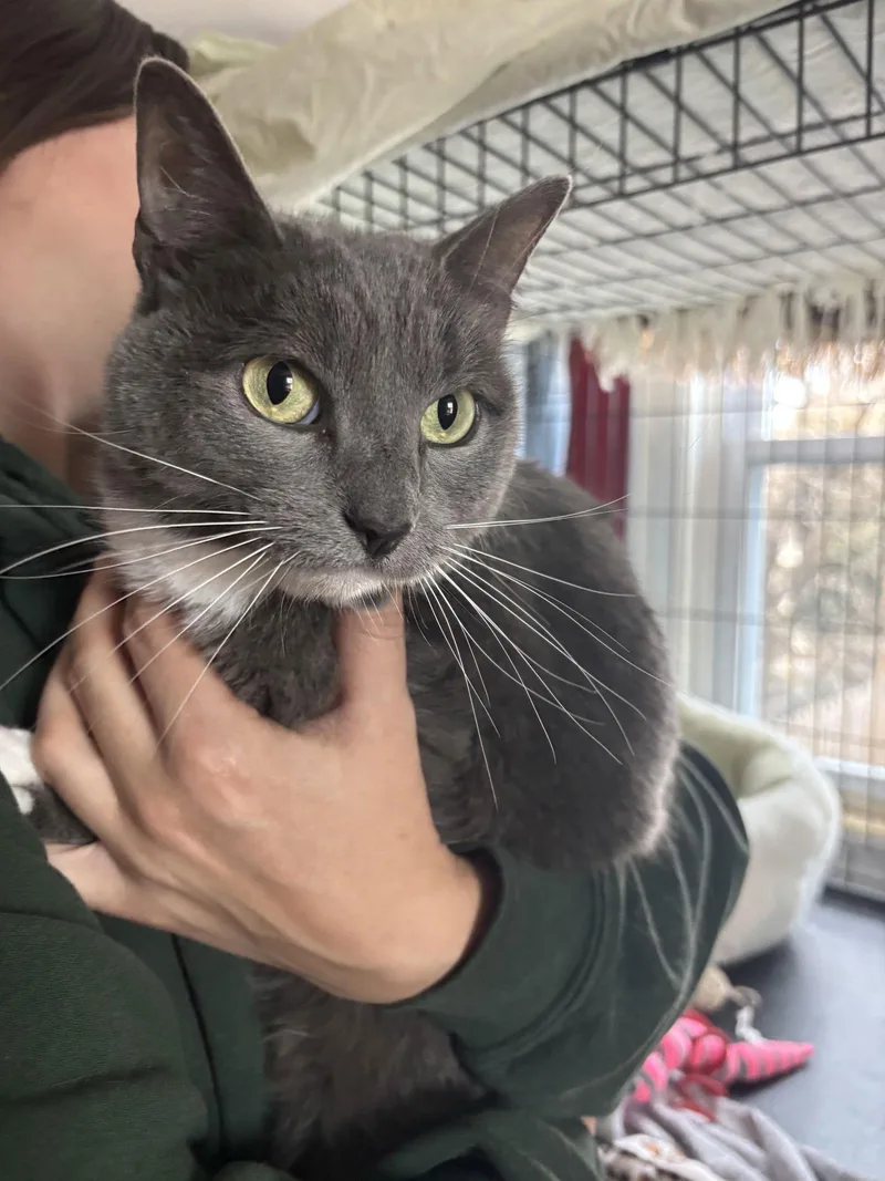 Venus & Mars thumbnail 3