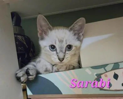 Odette & Sarabi thumbnail 5