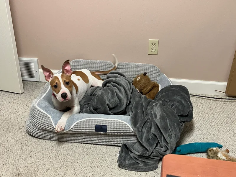 Princess thumbnail 2