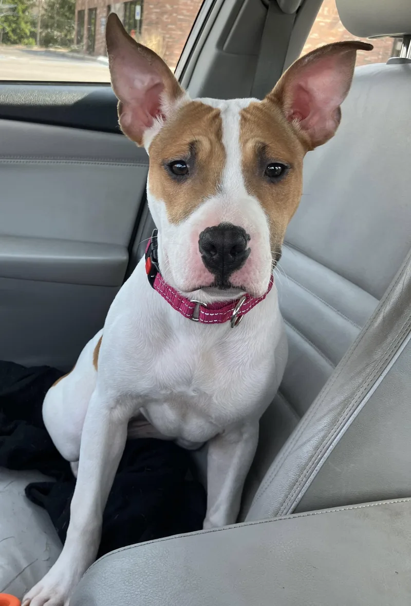 Princess thumbnail 3