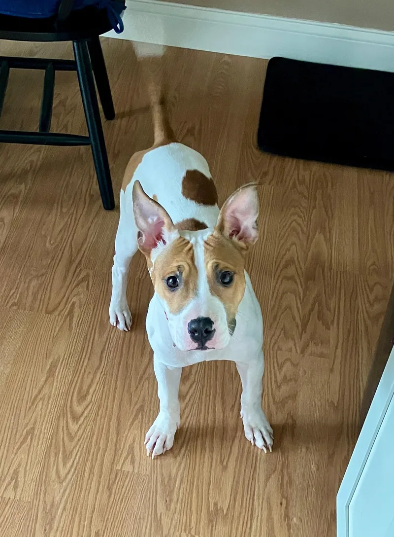 Princess thumbnail 4