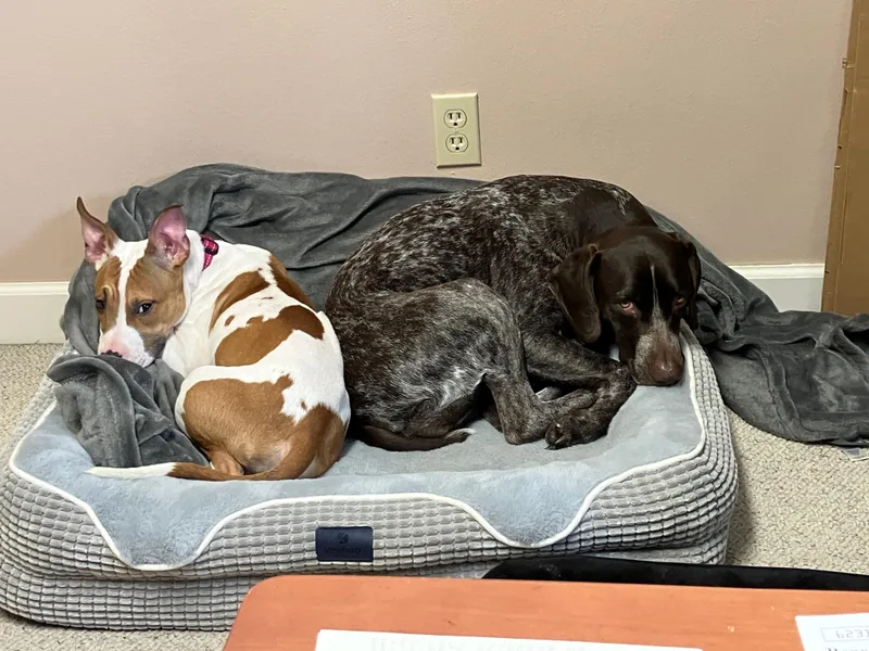 Princess thumbnail 6