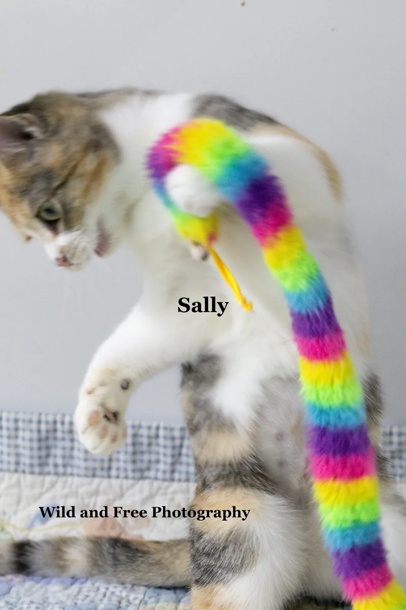 Sally thumbnail 2