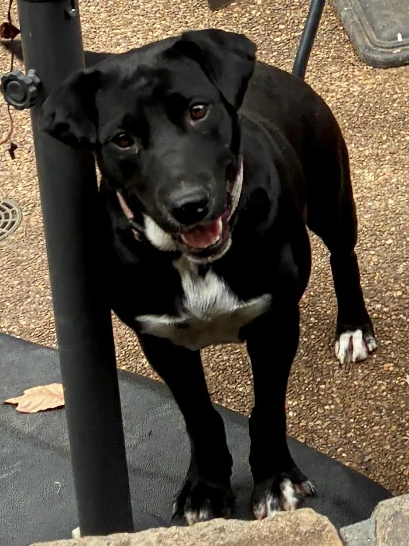 Emma thumbnail 6