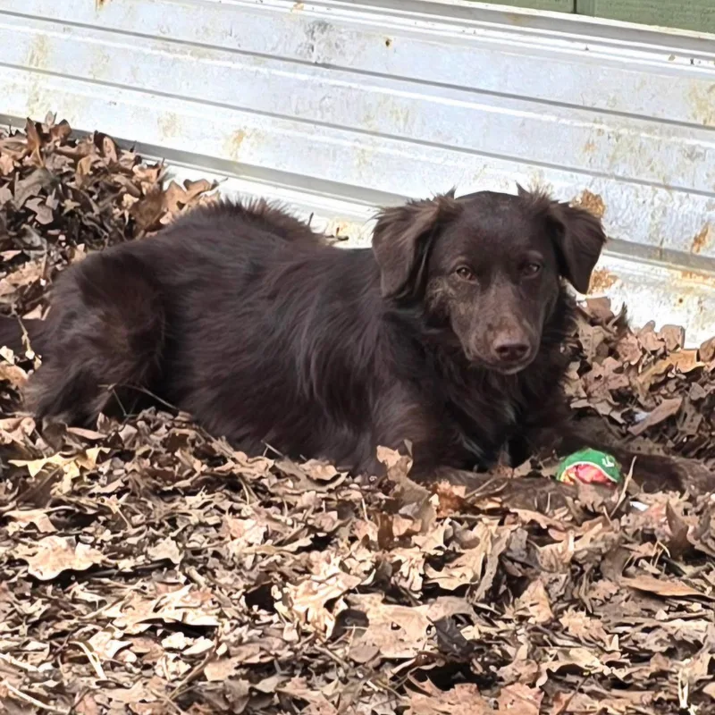 Delilah thumbnail 4