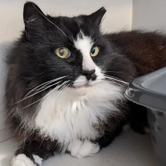 Littlebit thumbnail 2