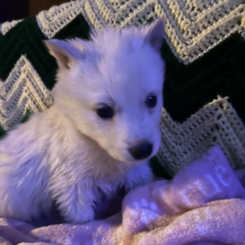 Murphy thumbnail 4