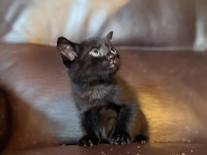 Princeton thumbnail 2