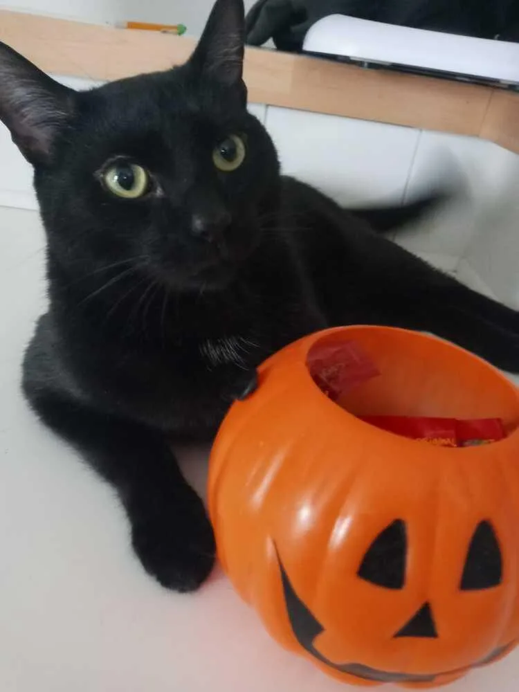 Princeton thumbnail 4