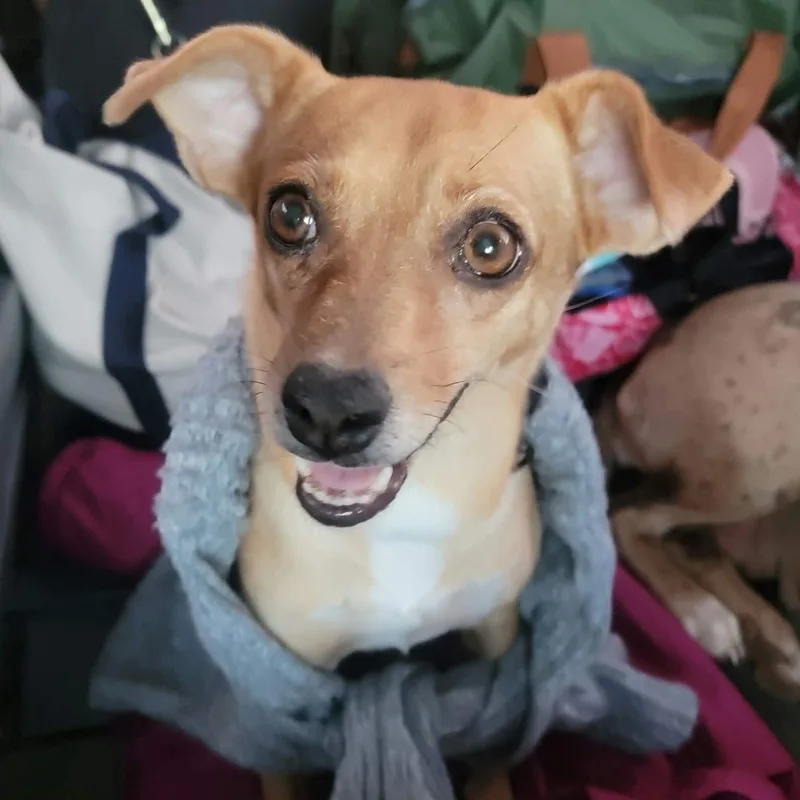 Lulu thumbnail 5