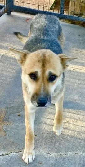 Serenity thumbnail 3