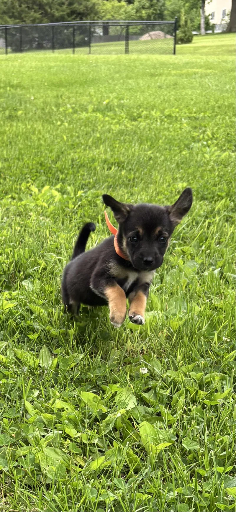 Winnie Orange