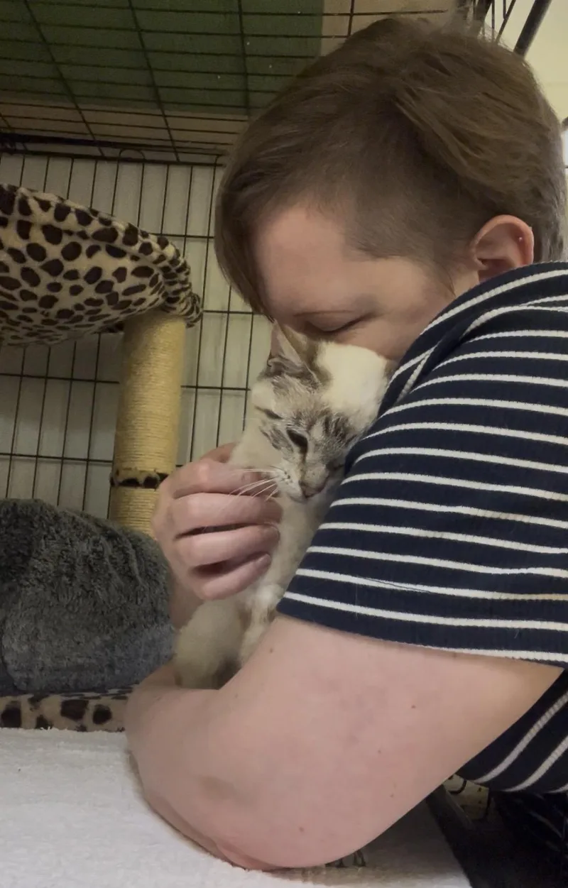 Clytie — Effortlessly Beautiful thumbnail 5