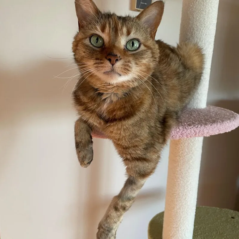 Rhea Sunshine thumbnail 2