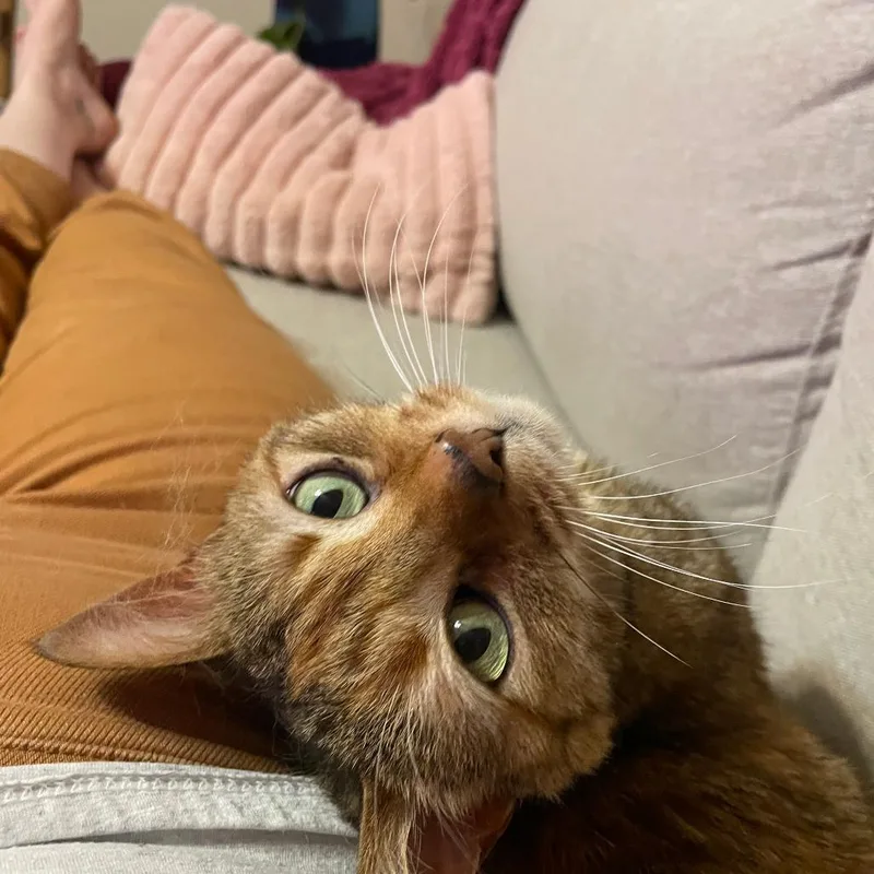 Rhea Sunshine thumbnail 3