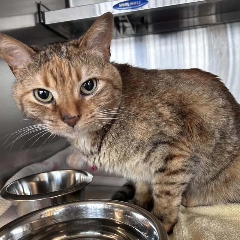 Rhea Sunshine thumbnail 5