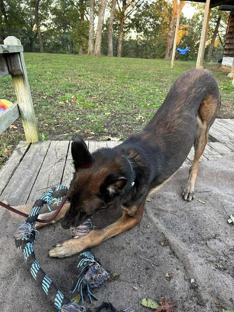 Charlie  Located In thumbnail 2